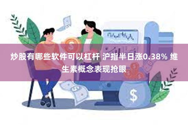 炒股有哪些软件可以杠杆 沪指半日涨0.38% 维生素概念表现抢眼