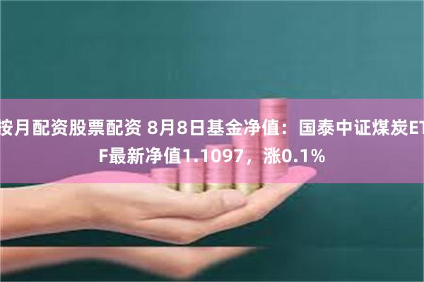 按月配资股票配资 8月8日基金净值：国泰中证煤炭ETF最新净值1.1097，涨0.1%