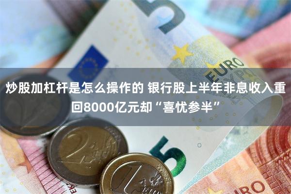 炒股加杠杆是怎么操作的 银行股上半年非息收入重回8000亿元却“喜忧参半”