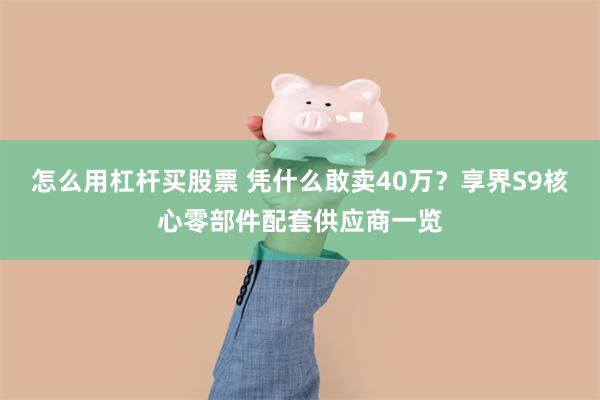 怎么用杠杆买股票 凭什么敢卖40万？享界S9核心零部件配套供应商一览