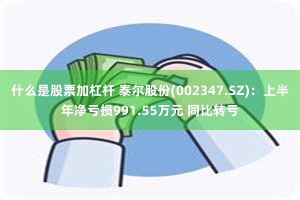 什么是股票加杠杆 泰尔股份(002347.SZ)：上半年净亏损991.55万元 同比转亏