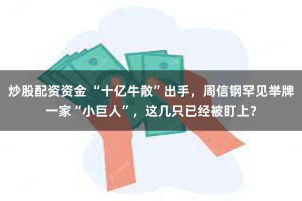 炒股配资资金 “十亿牛散”出手，周信钢罕见举牌一家“小巨人”，这几只已经被盯上？